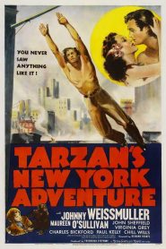 Tarzán en Nueva York – Tarzan’s New York Adventure