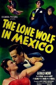 The Lone Wolf in Mexico