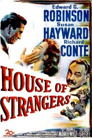 Odio entre hermanos – House of Strangers