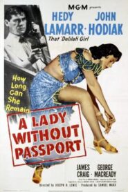 Mujer sin pasaporte – A Lady without a passport