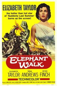 La senda de los elefantes – Elephant Walk