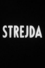 Uncle (Strejda)