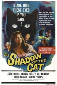 La sombra del gato – The Shadow of the Cat