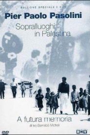 Localizaciones en Palestina para «El evangelio según San Mateo» – Sopralluoghi in Palestina per «Il vangelo secondo Matteo»