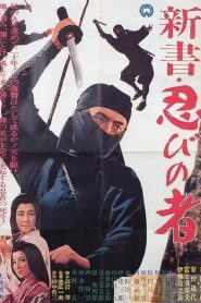 Shinobi no mono 8: A New Beginning – Shinsho: shinobi no mono