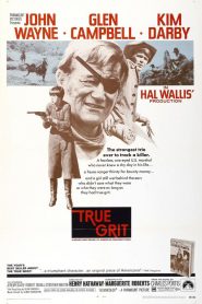 Valor de ley – True Grit