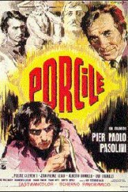 Porcile – Pigsty