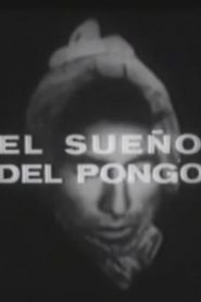 El sueño del pongo