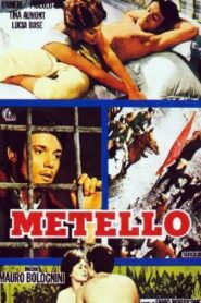 Metello