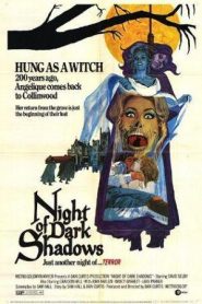 Una luz en la oscuridad – Night of Dark Shadows (Curse of Dark Shadows)