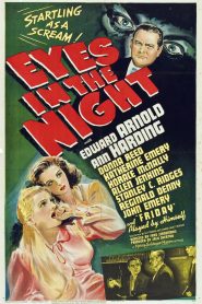 Ojos en la noche – Eyes in the Night