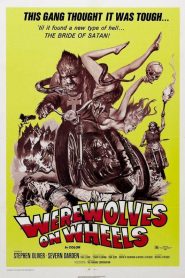 La profecía del tarot – Werewolves on Wheels