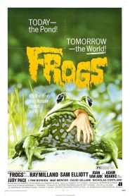 Ranas – Frogs