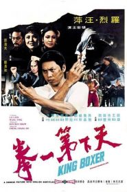 De profesión invencible – Tian xia di yi quan (5 Fingers of Death)