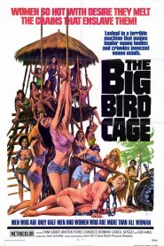 The Big Bird Cage