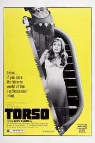 Torso: Violencia Carnal – I corpi presentano tracce di violenza carnale – Carnal Violence