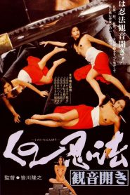 Female Ninjas – In Bed with the Enemy (Kunoichi ninpo: Kannon biraki) (VO)