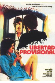 Libertad provisional