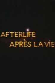 Afterlife (After Life) (C)