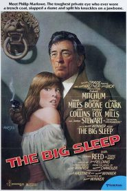 Detective privado – The Big Sleep