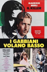 Seagulls Fly Low – I gabbiani volano basso