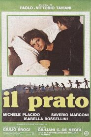 El Prado – Il Prato