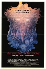 Los ojos del bosque – The watcher in the woods