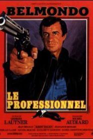 El profesional – Le professionnel