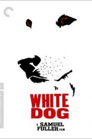 Perro Blanco – White Dog