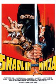 Shao Lin yu ren zhe (Shaolin Vs. Ninja) (VOSI)