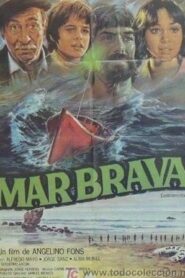 Mar brava