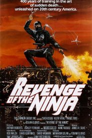 La venganza del Ninja AKA Ninja II – Revenge of the Ninja –