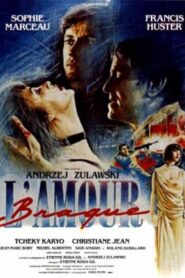 Mad love – L’amour braque (1985) Francia – VOSE