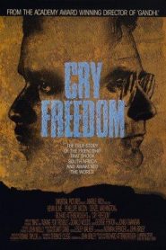 Grita libertad – Cry Freedom