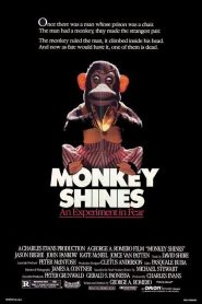 Atracción diabólica – Monkey Shines