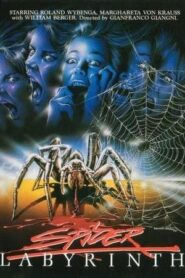 Il nido del ragno – La secta de la araña