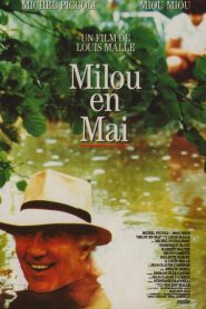 Milou en mayo – Milou en Mai