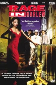 Redada en Harlem – A Rage In Harlem