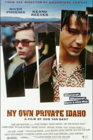 Mi Idaho privado – My Own Private Idaho