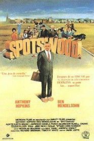 Spotswood (The Efficiency Expert)