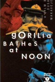 Gorila se kupa u podne – Gorilla Bathes at Noon (VOSI)