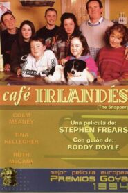 Café irlandés