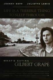 ¿A quién ama Gilbert Grape? – What’s Eating Gilbert Grape?