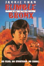 Duro de matar – Honfgan Qu (Hung fan kui) Rumble in the Bronx 紅番區