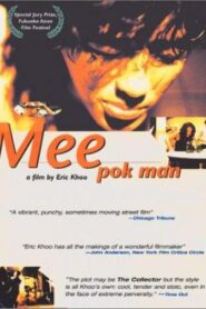 Mee Pok Man