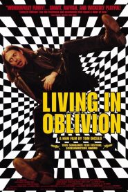 Vivir rodando – Living in Oblivion