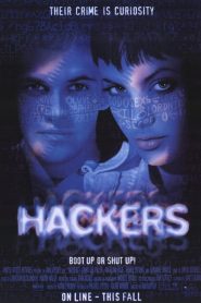 Hackers, piratas informáticos – Hackers