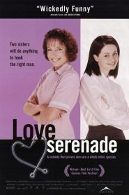 Serenata de amor – Love Serenade