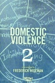 Domestic Violence 2