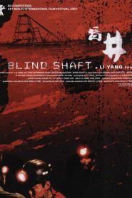 Mang jing (Blind Shaft) 盲井